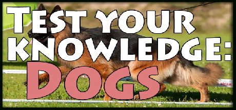 Front Cover for Test Your Knowledge: Dogs (Windows) (Steam release)
