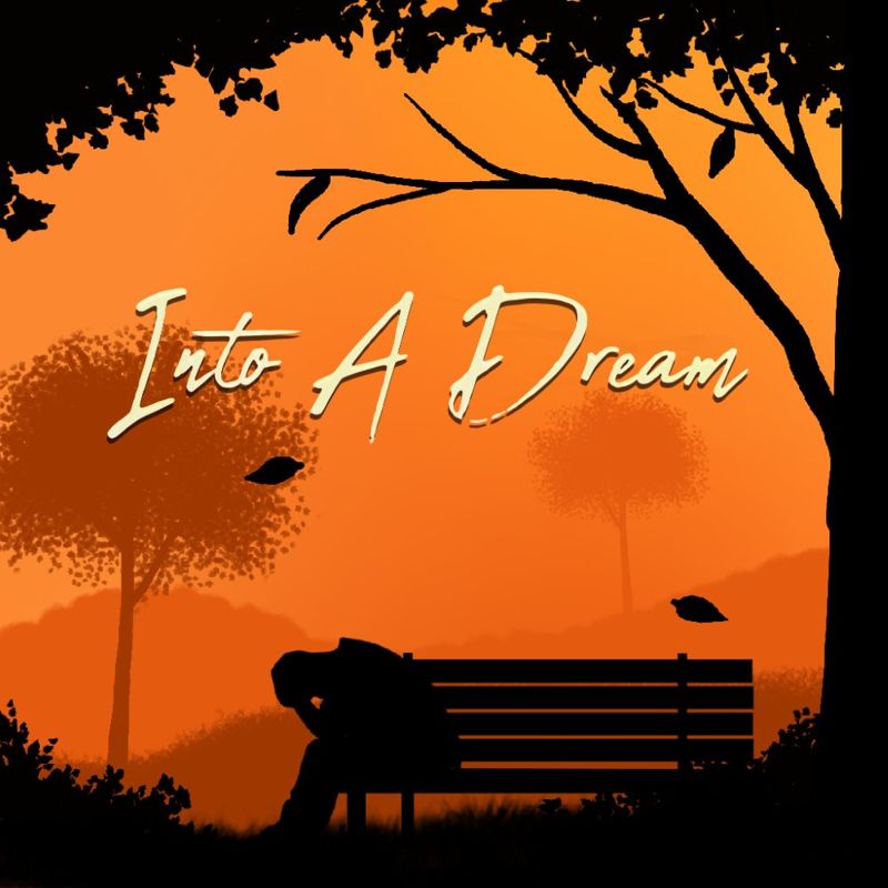 Front Cover for Into A Dream (Nintendo Switch) (download release)