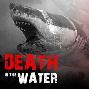 Death in the Water cover or packaging material - MobyGames