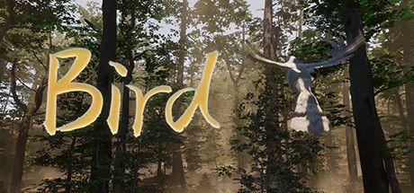 Front Cover for Bird (Windows) (Steam release)