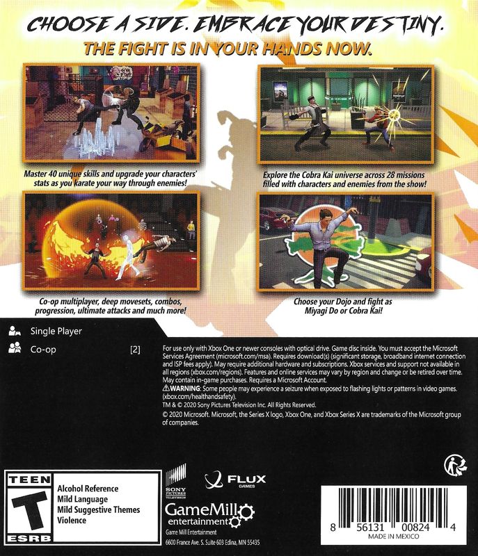 Buy Cobra Kai: The Karate Kid Saga Continues Xbox key! Cheap price