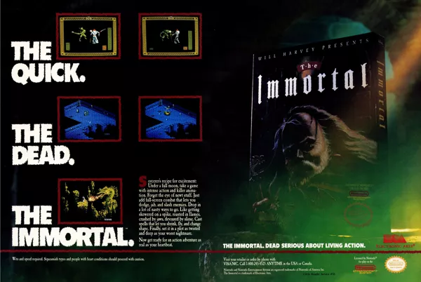 The Immortal: A 1990 Video Game That Loved To