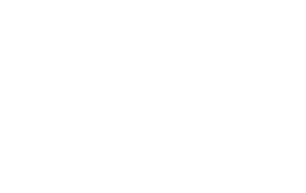 Wicked Witch Software Pty Ltd logo