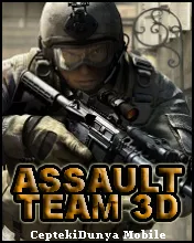 постер игры Assault Team 3D