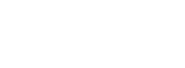 Denuvo Software Solutions GmbH logo