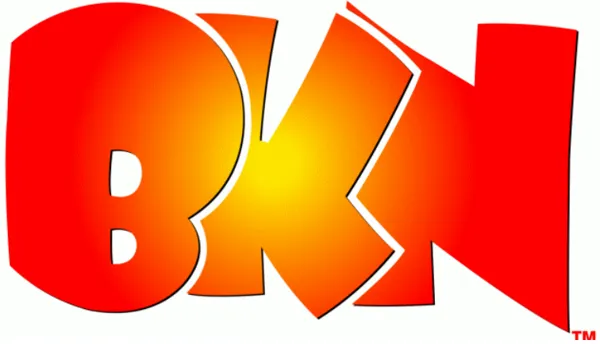 BKN International AG logo