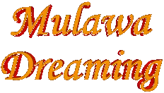 Mulawa Dreaming logo