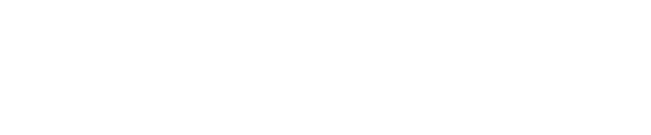 Neversoft logo