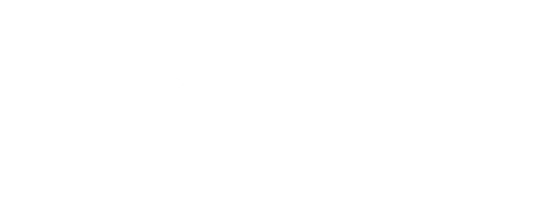 Leoful logo