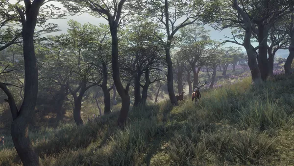 theHunter: Call of the Wild 2021 Edition Review