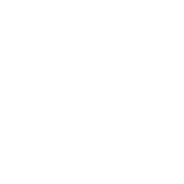 Rogueside NV logo