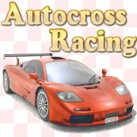 постер игры Autocross Racing