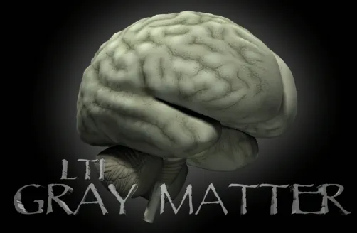 LTI Gray Matter logo