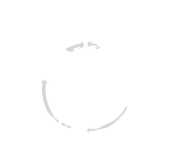 Dragon-Fly Studio logo