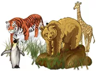 постер игры World Riddles: Animals