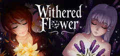 box cover thumbnail