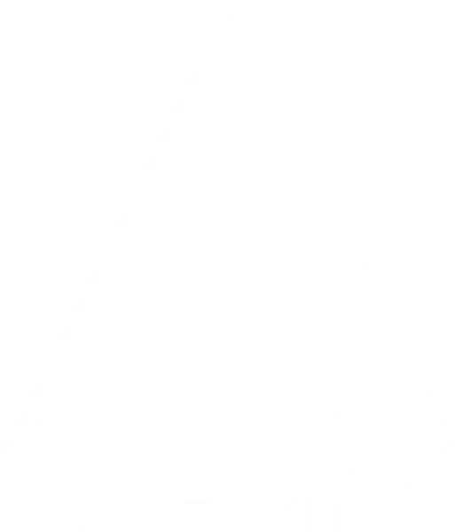 Polygon Art Ltd. logo
