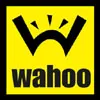 Wahoo Studios, Inc. logo