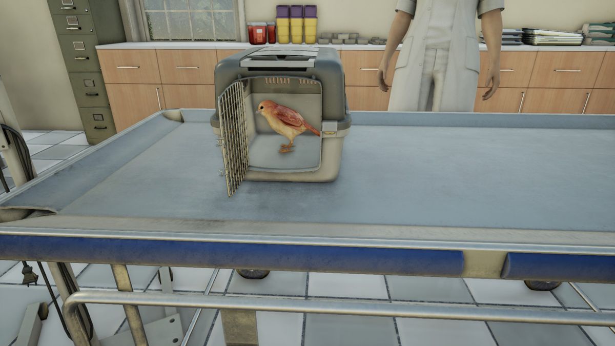 Animal Doctor Screenshot (Nintendo.com.au)