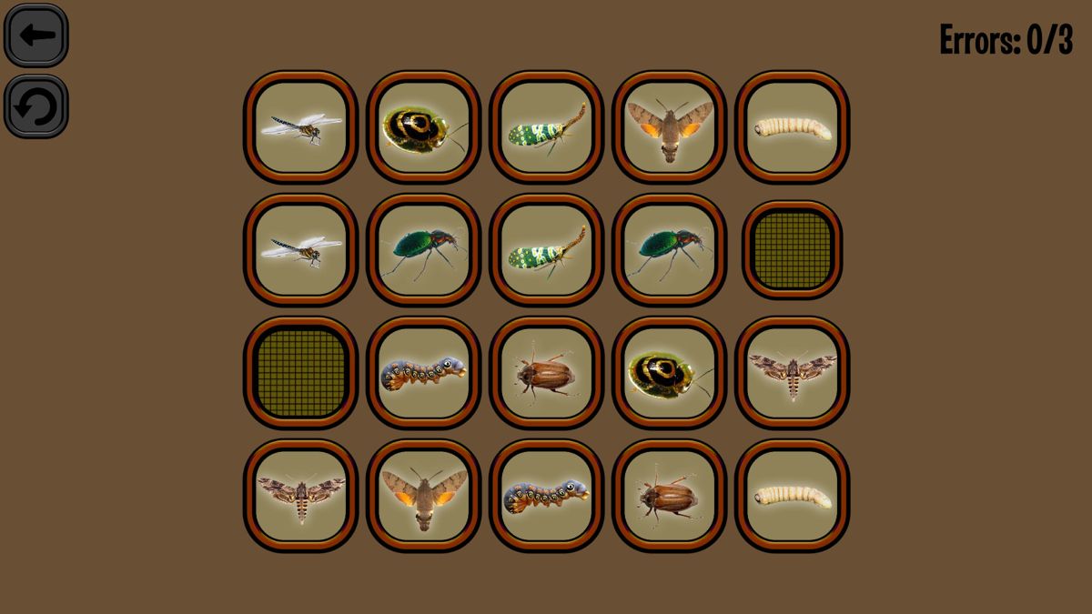 Animals Memory: Insect Screenshot (Steam)