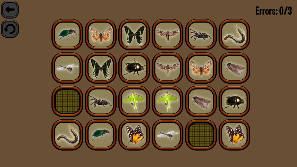 Animals Memory: Insect Screenshot (Steam)
