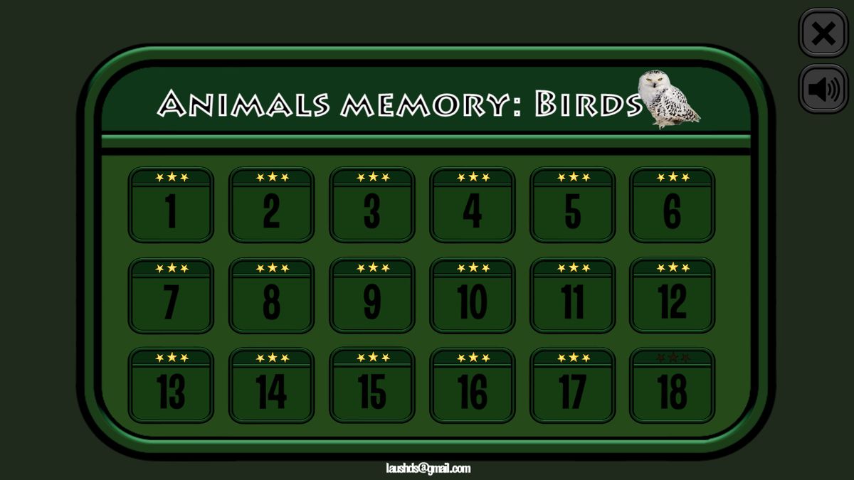 Animals Memory: Birds Screenshot (Steam)