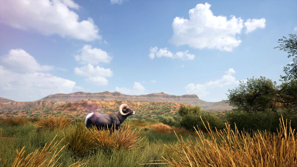 Hunting Simulator 2 Screenshot (PlayStation Store)