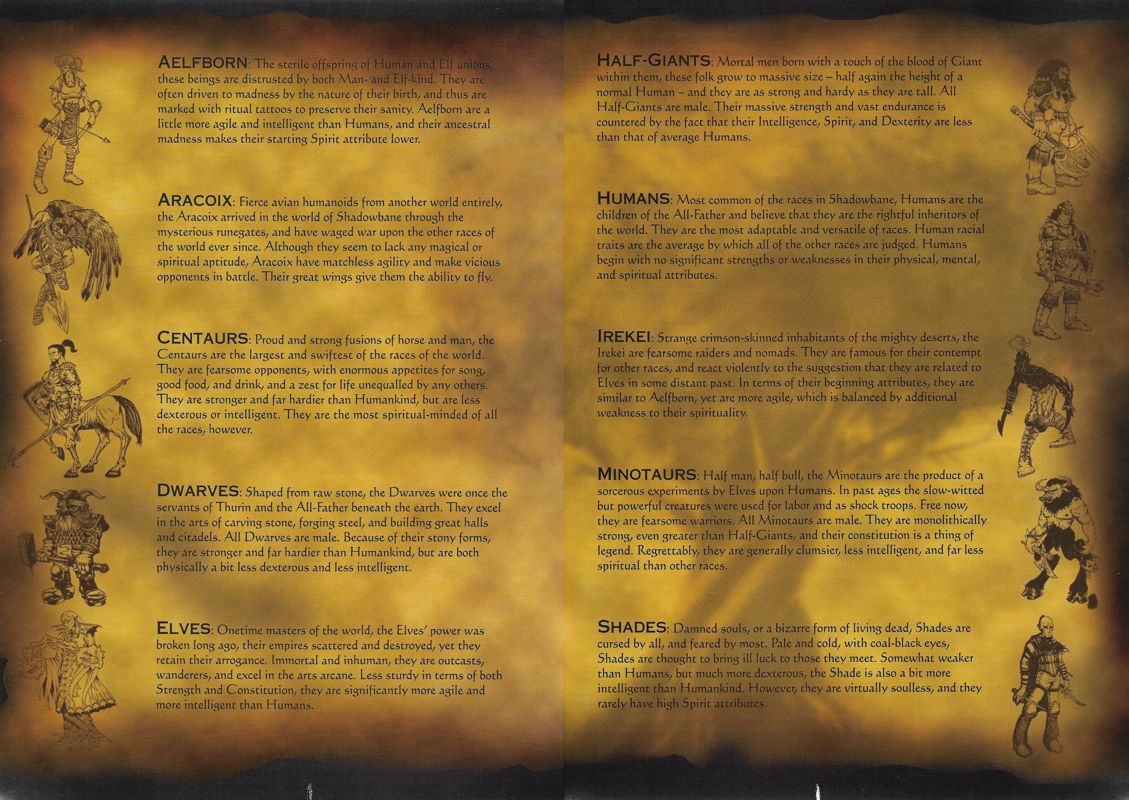 Shadowbane Magazine Advertisement (Magazine Advertisements): PC Gamer (United States), Issue 102 (October 2002)