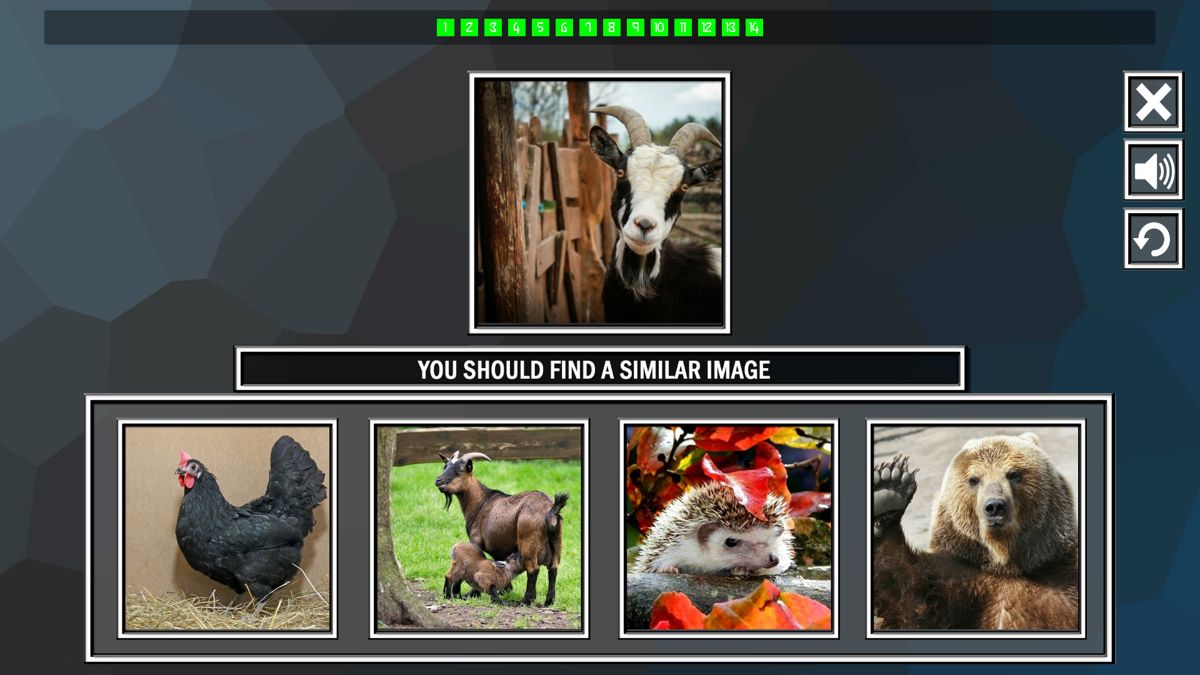 Repeat the Image: Animals Screenshot (Steam)