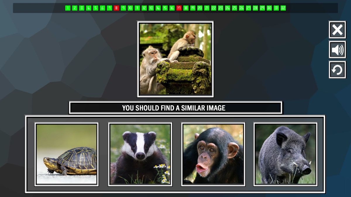Repeat the Image: Animals Screenshot (Steam)