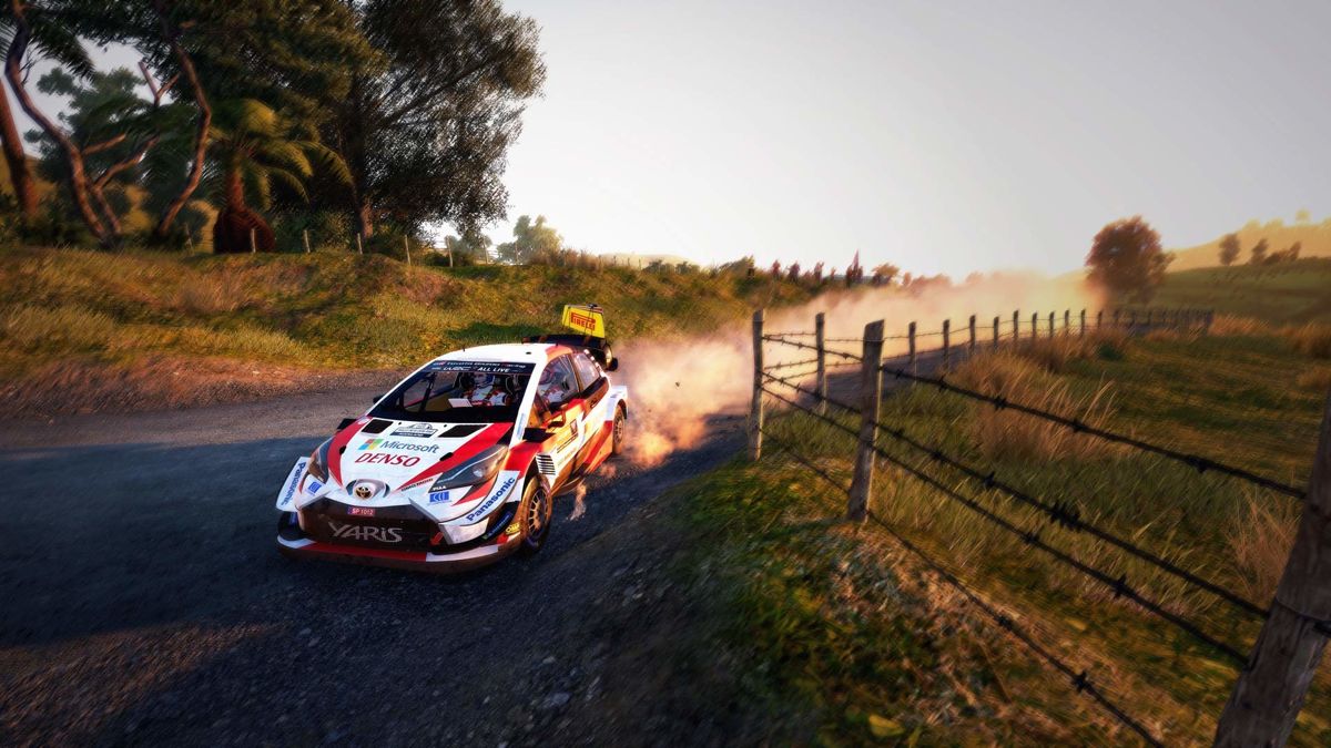 WRC 9 Screenshot (Steam)
