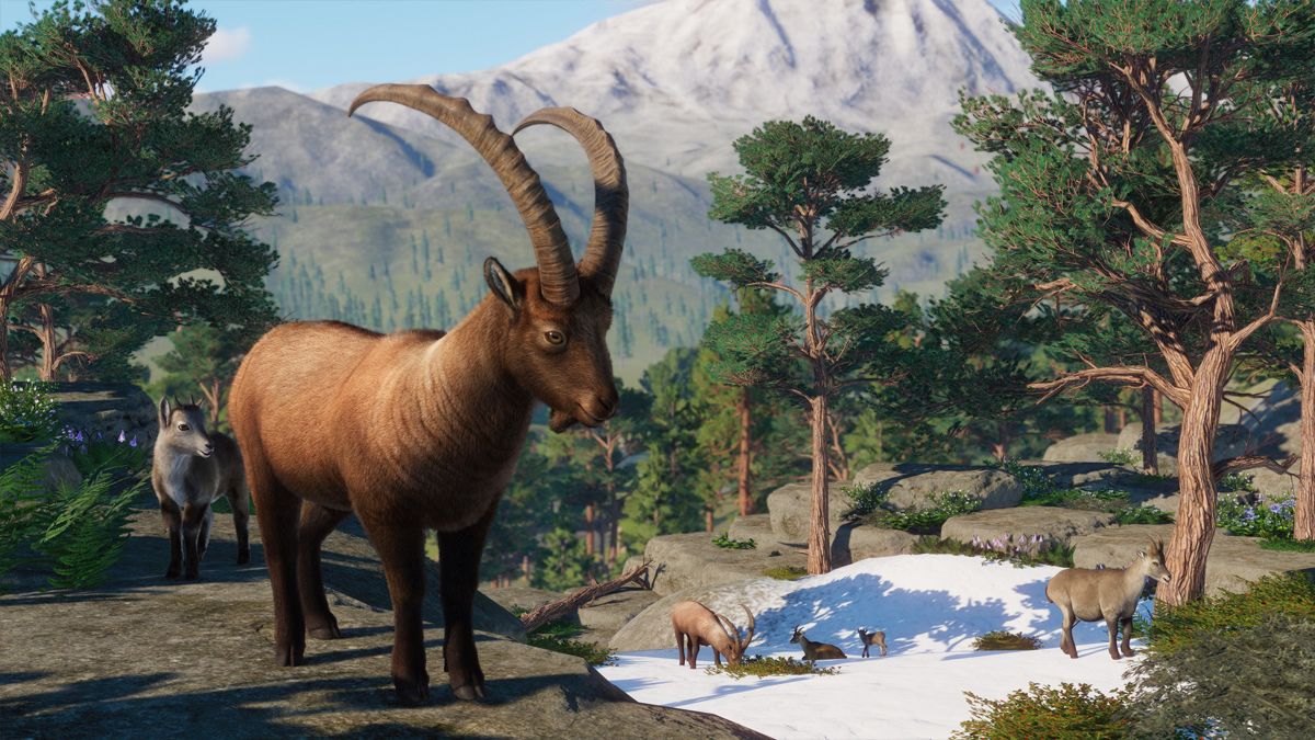 Planet Zoo: Europe Pack Screenshot (Steam)