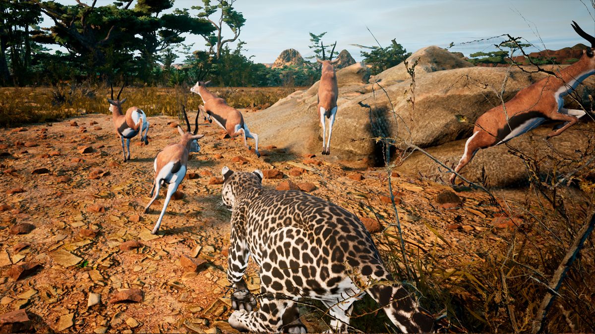Animalia Survival Screenshot (Steam)