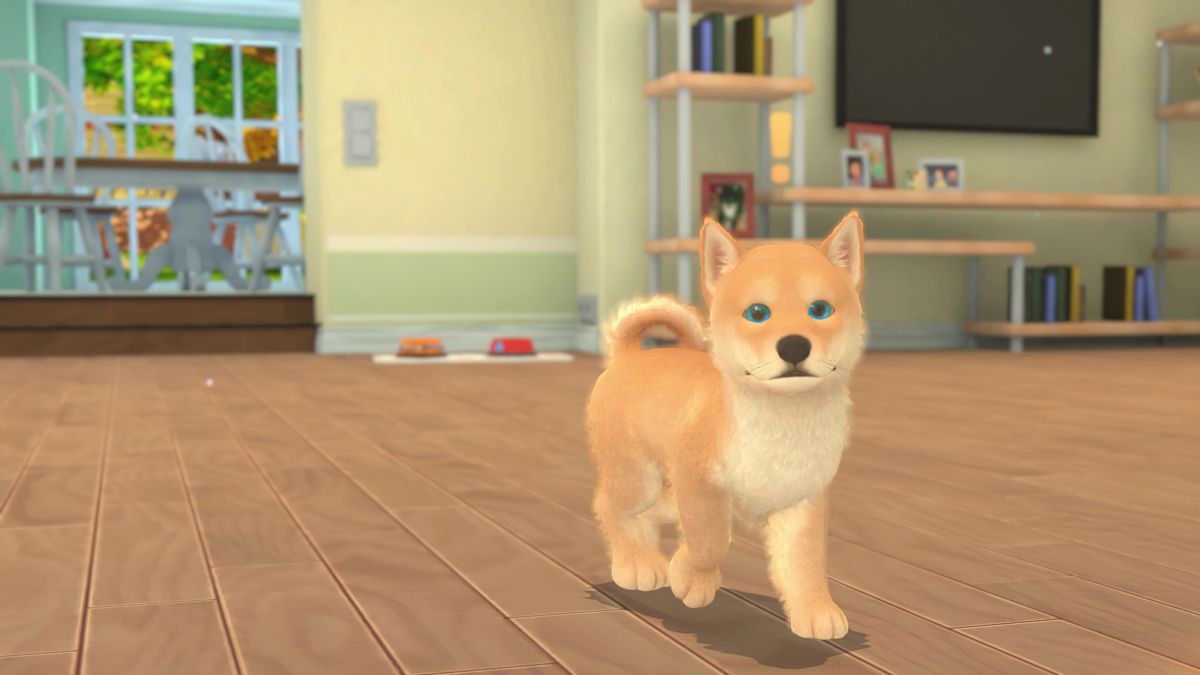 My Universe: Puppies and Kittens Screenshot (PlayStation Store)