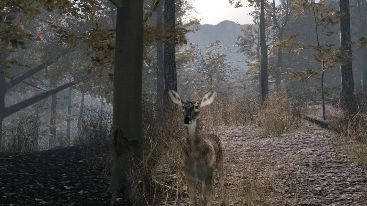 Pro Deer Hunting 2 Screenshot (Steam)