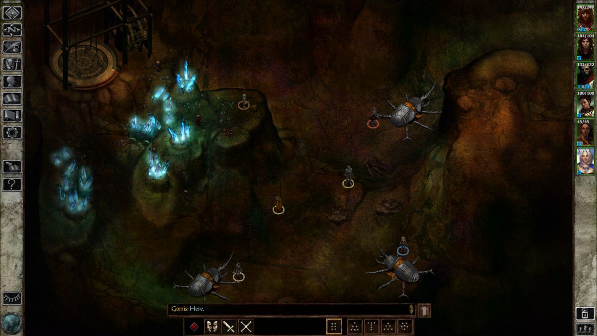 Icewind Dale: Enhanced Edition Screenshot (Steam)