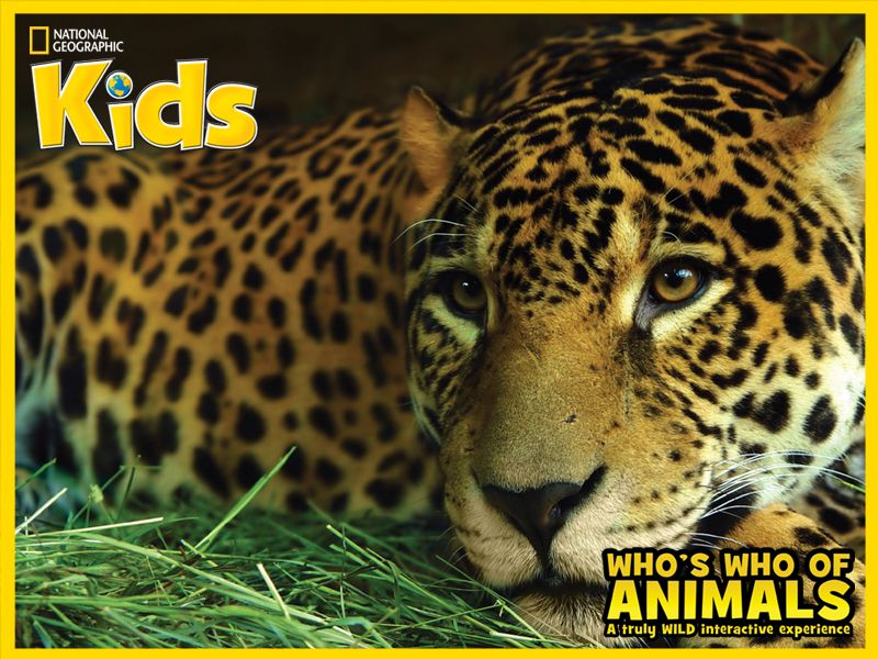 Who's Who Of Animals: A Truly Wild Interactive Experience Wallpaper (Wallpapers): B800x600