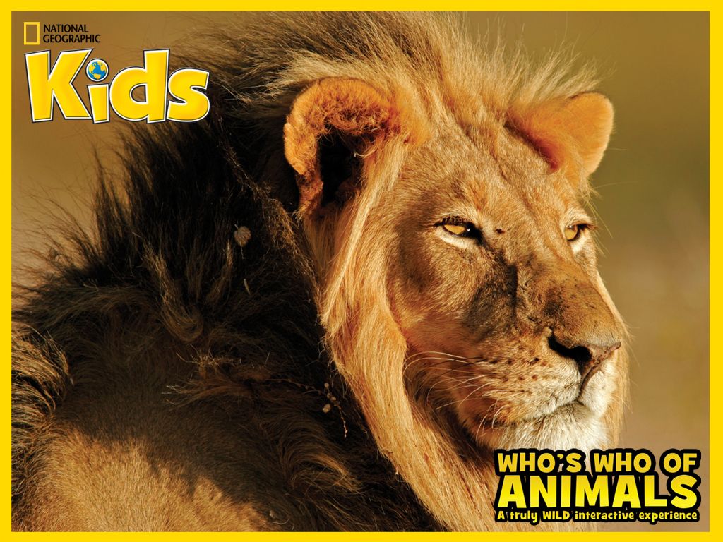 Who's Who Of Animals: A Truly Wild Interactive Experience Wallpaper (Wallpapers): A1024x768