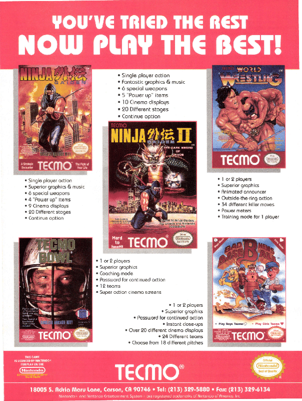 Ninja Gaiden Magazine Advertisement (Magazine Advertisements): VideoGames & Computer Entertainment (United States), Issue 24 (January 1991)