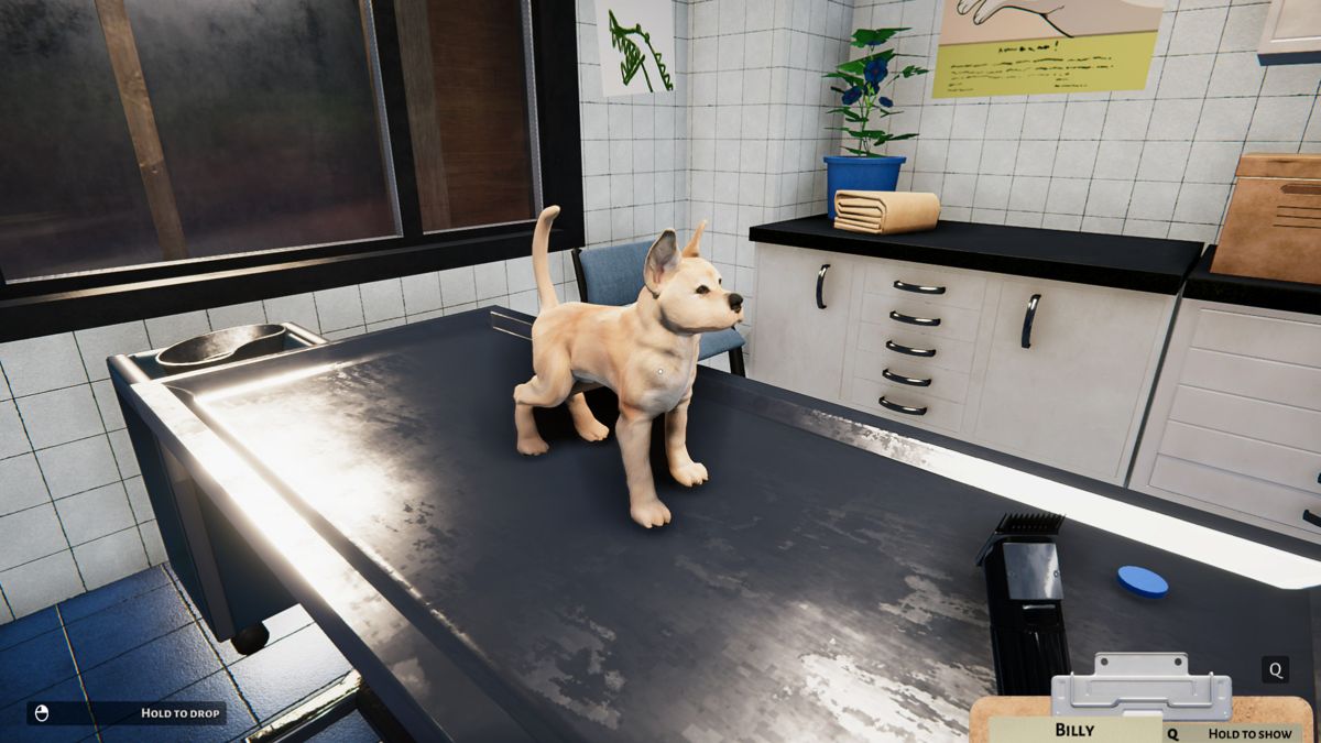 Animal Shelter: Puppies & Kittens Screenshot (Steam)