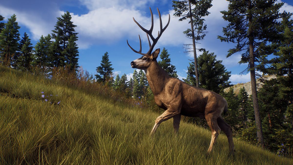 Way of the Hunter Screenshot (Steam)