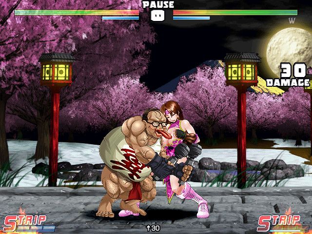 Strip Fighter 5: Chimpocon Edition Screenshot (Steam)