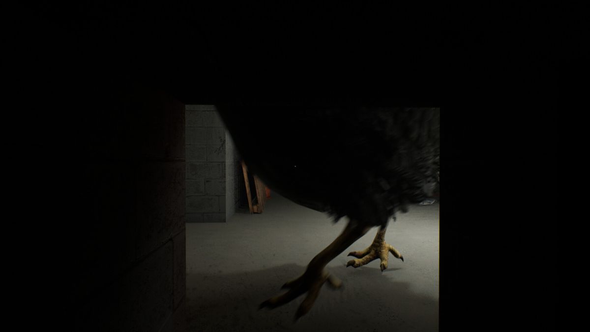 Chicken Feet Screenshot (Steam)