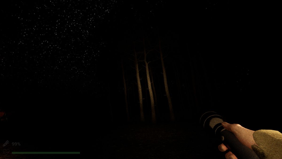 Park Ranger: Lost In the Woods Screenshot (Steam)