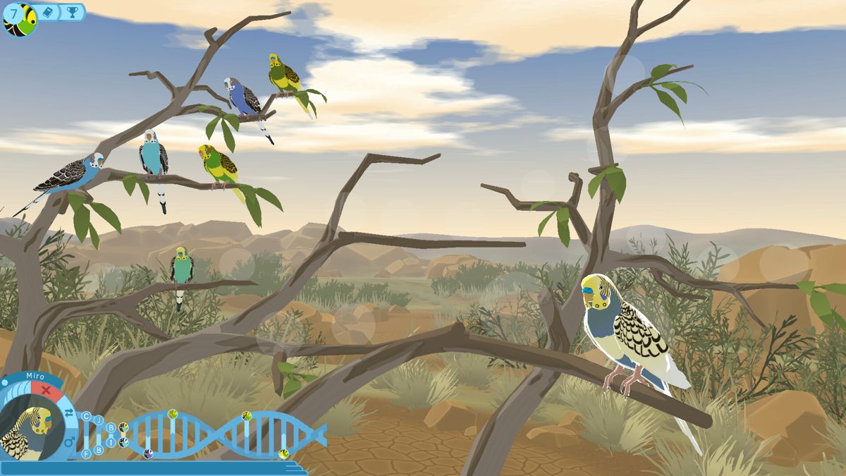 Budgie Genetics Simulator Screenshot (Steam)