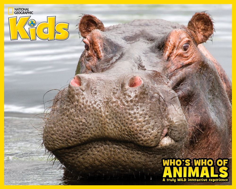 Who's Who Of Animals: A Truly Wild Interactive Experience Wallpaper (Wallpapers): D1280x1024