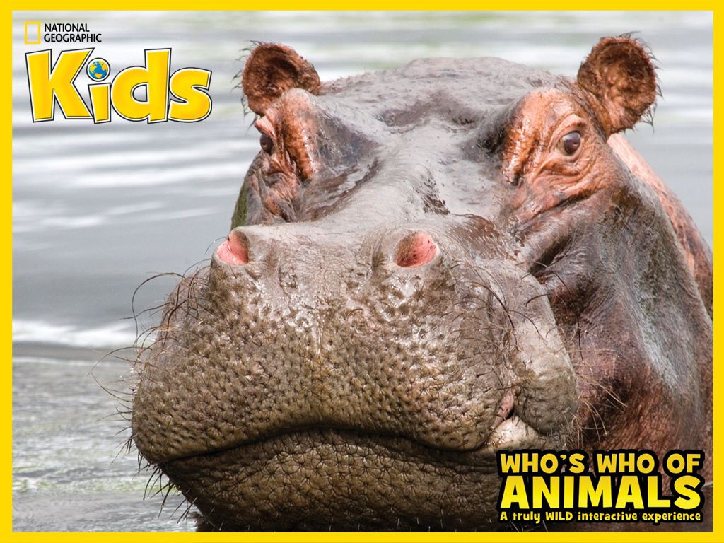 Who's Who Of Animals: A Truly Wild Interactive Experience Wallpaper (Wallpapers): D1024x768
