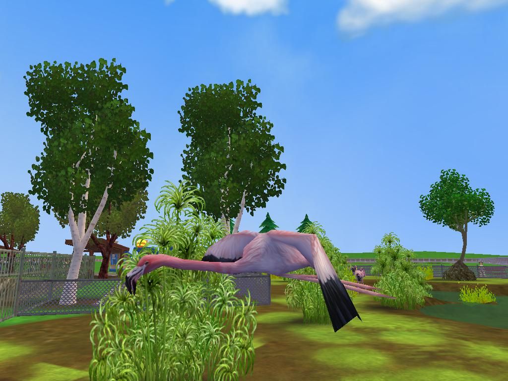 Zoo Tycoon 2 Screenshot (Xbox and Microsoft Game Studios E3 2004 Media DVD): Flying Flamingo