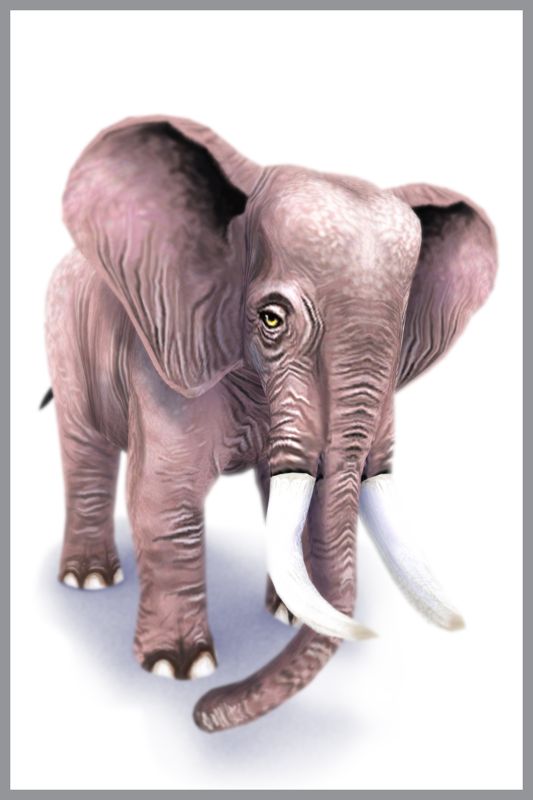 Zoo Tycoon 2 Render (Xbox and Microsoft Game Studios E3 2004 Media DVD): Elephant