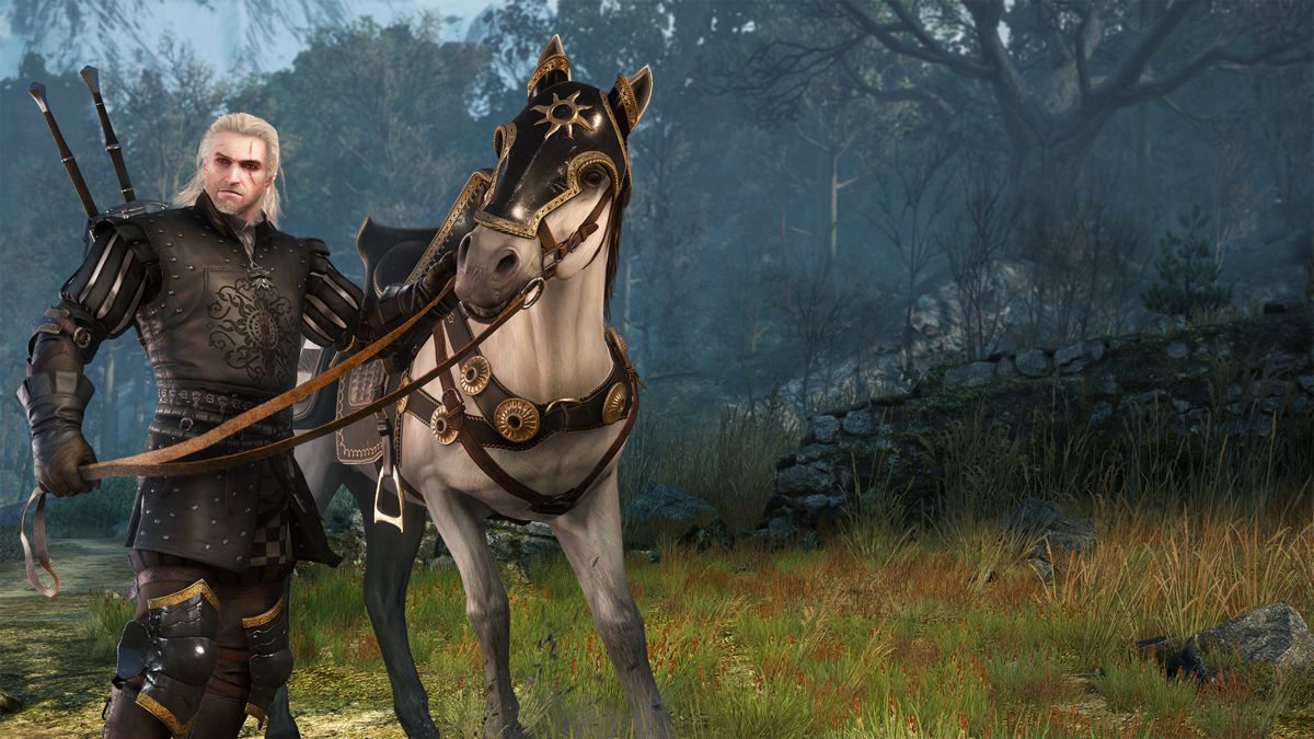 The Witcher 3: Wild Hunt - Nilfgaardian Armor Set Screenshot (Steam)